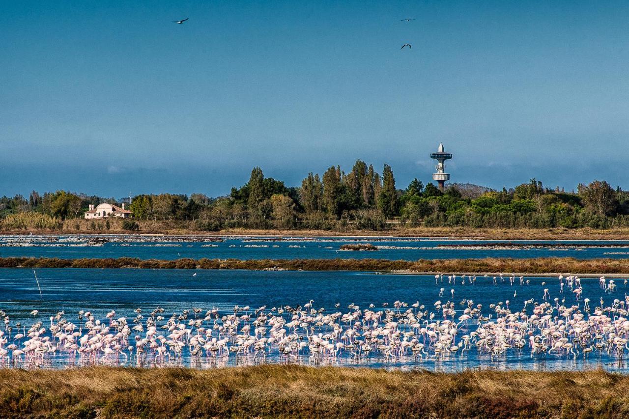 Villa Gloria Appartamento E01 Rosolina Mare Exteriér fotografie